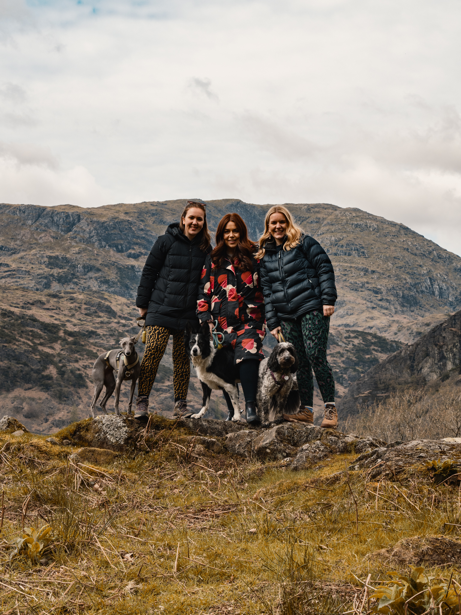 Lake District: Dog-Friendly Top Things To Do