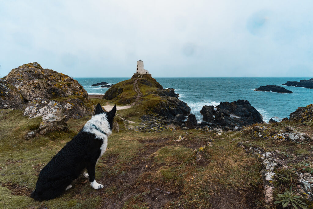 Llanddwyn Island