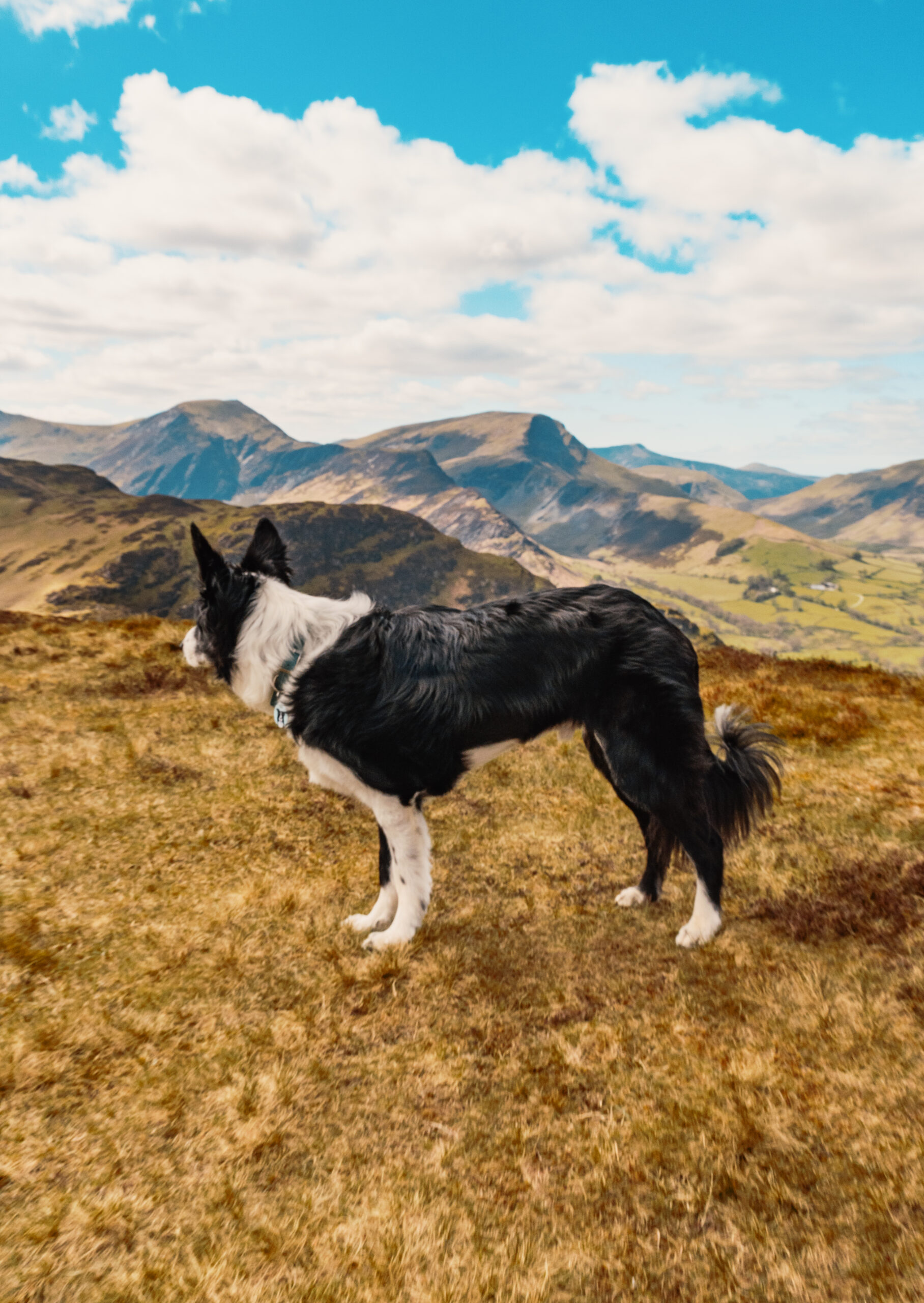 CATBELLS walk